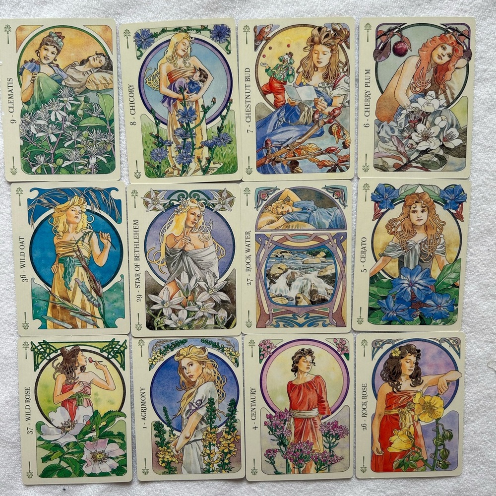 Deck of cards, no booklet